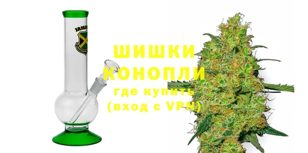 PSILOCYBIN Аркадак