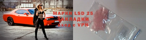 PSILOCYBIN Аркадак
