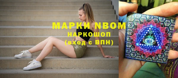 PSILOCYBIN Аркадак