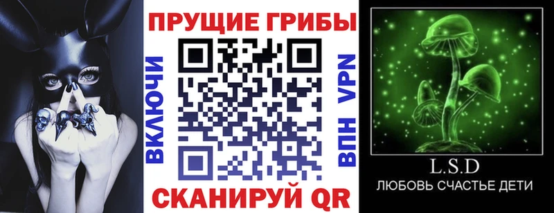 закладки  Ухта  Псилоцибиновые грибы прущие грибы 